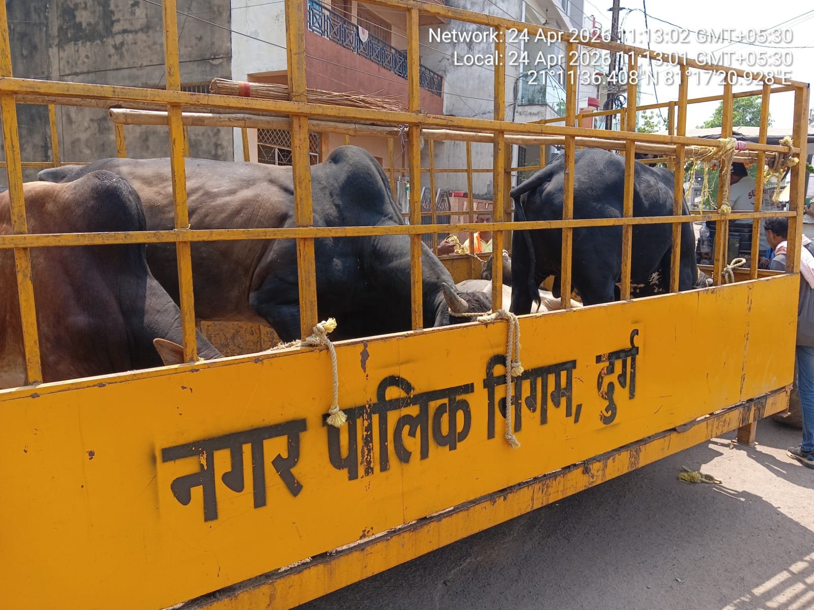 Image after paragraph