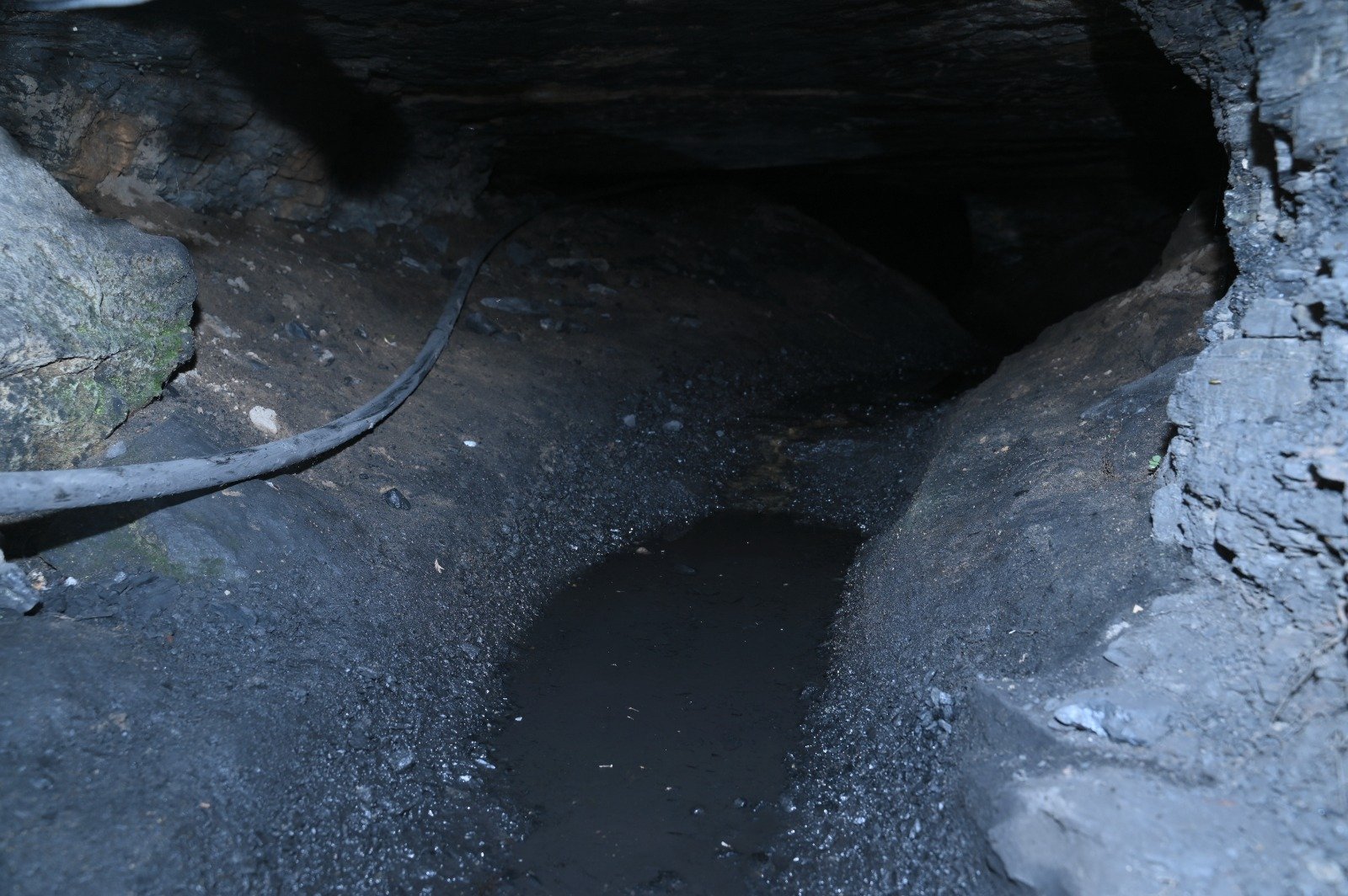 Image after paragraph