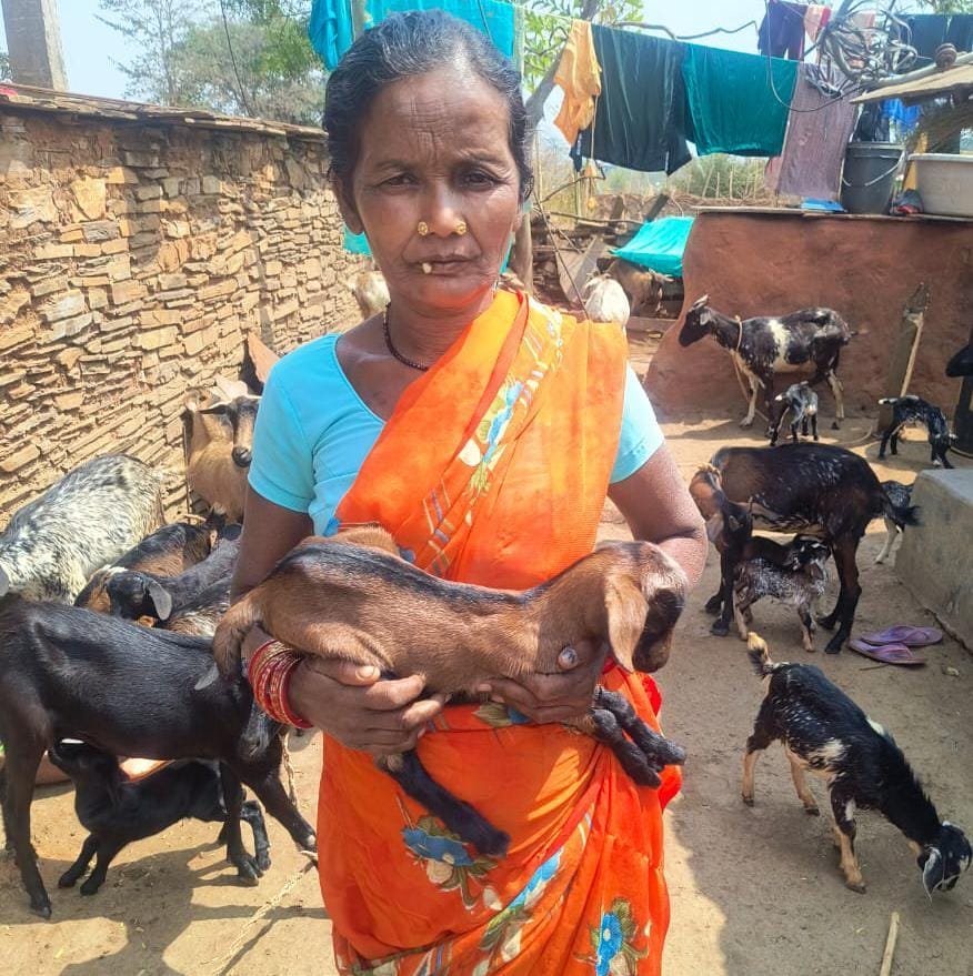 महतारी गौरव वर्ष में सशक्त हो रही छत्तीसगढ़ की मातृशक्ति