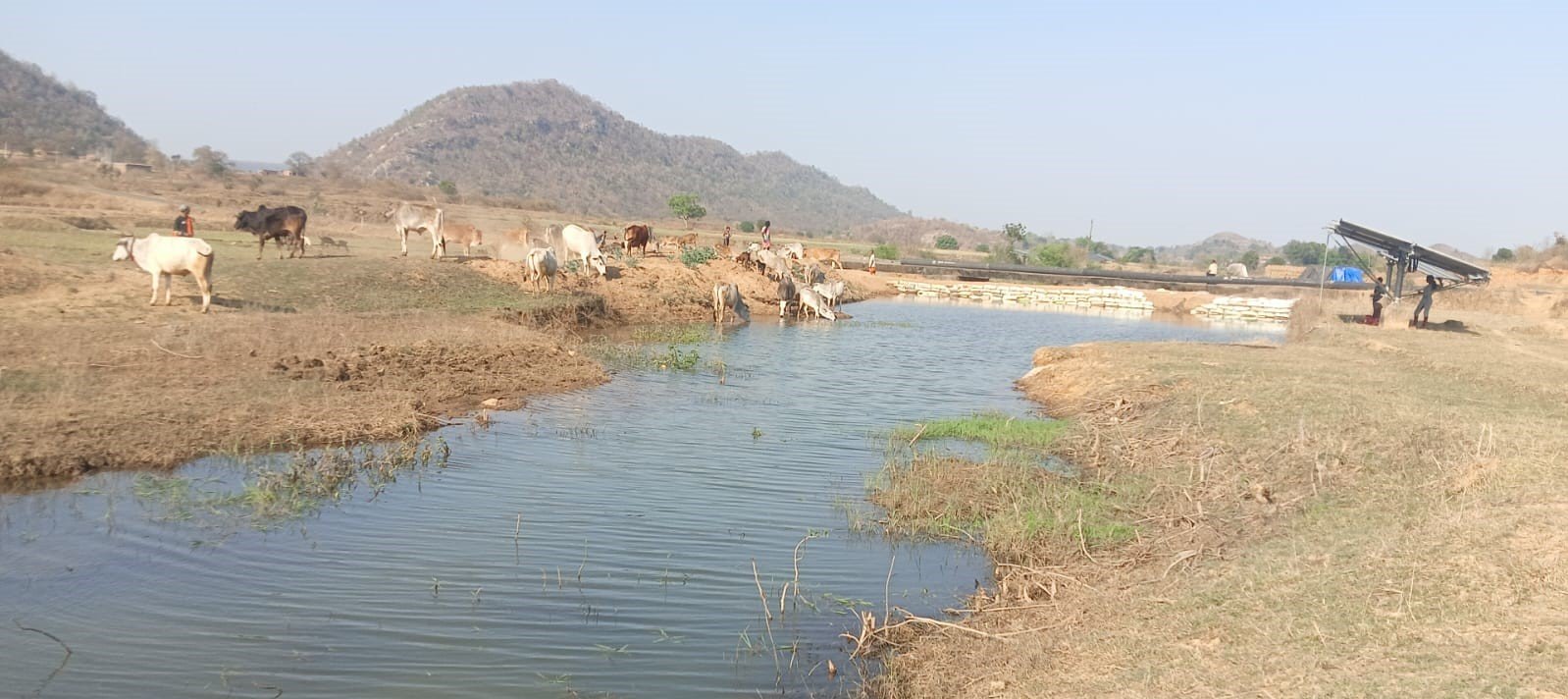मनरेगा से पनारी नाले का जीर्णोद्धार: 1200 ग्रामीणों को पेयजल व सिंचाई का लाभ