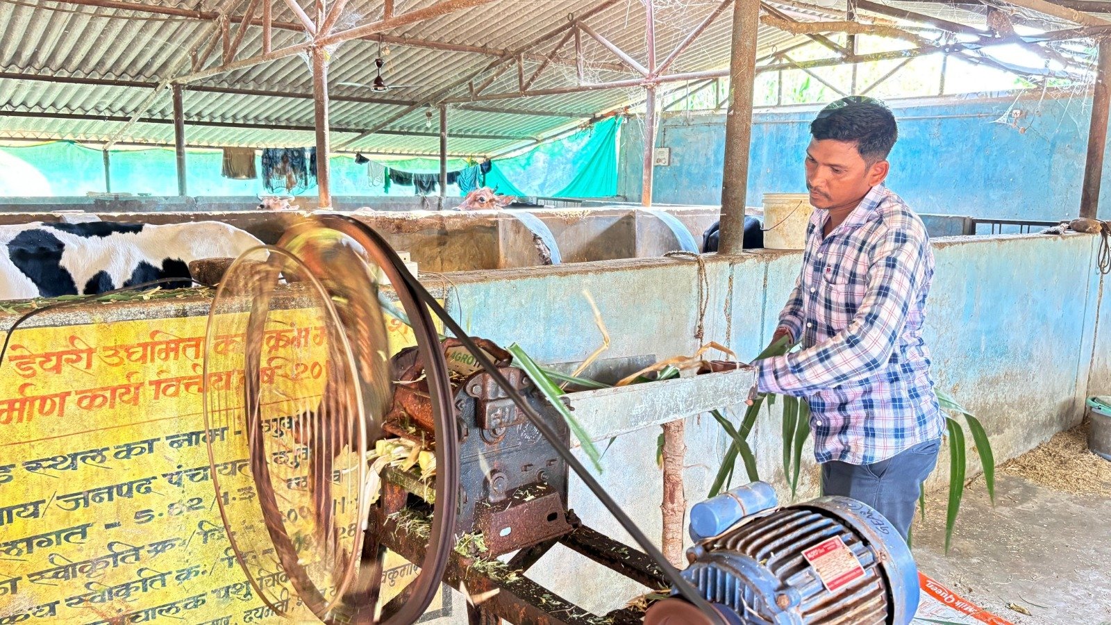 Image after paragraph