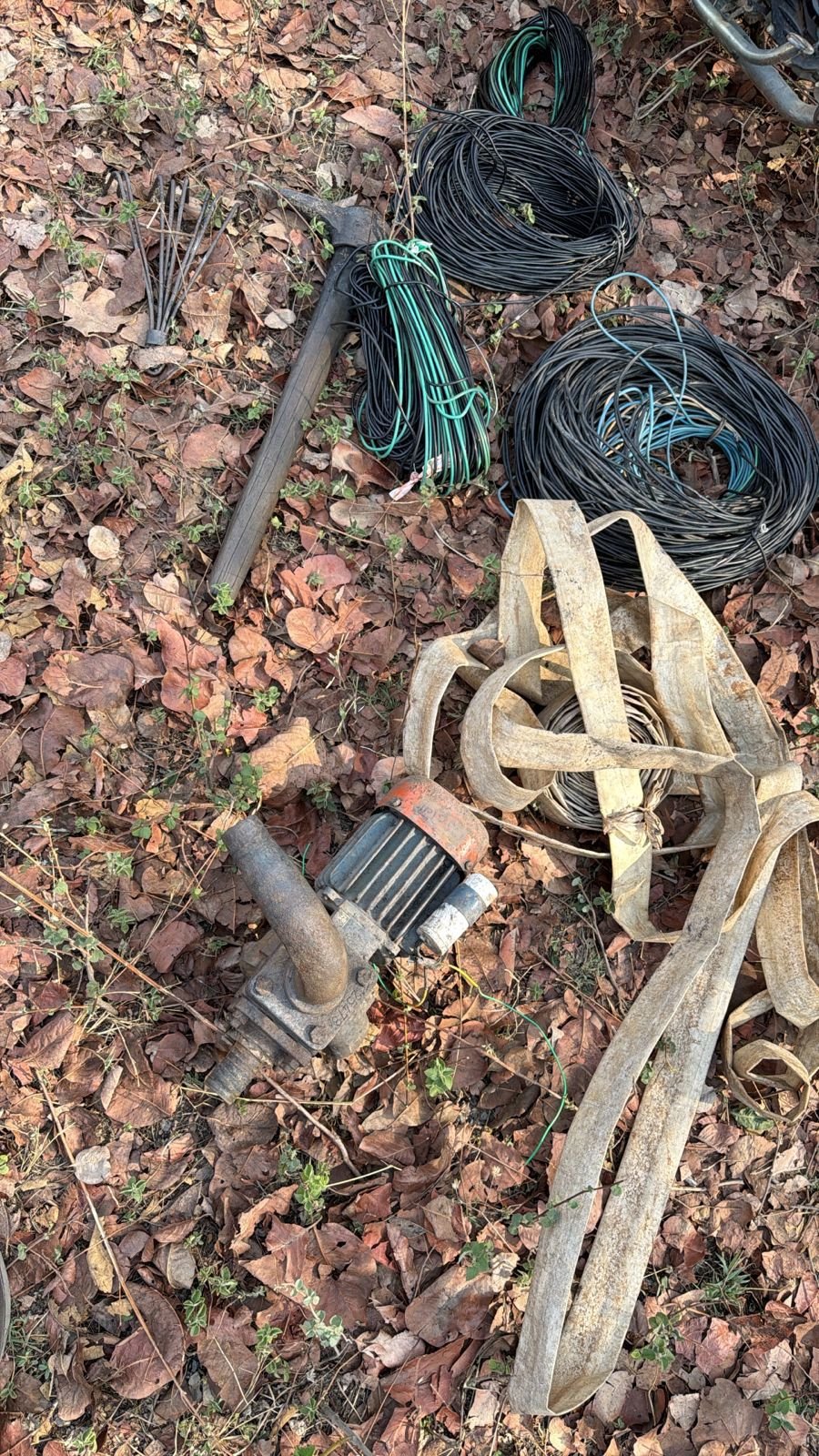 Image after paragraph