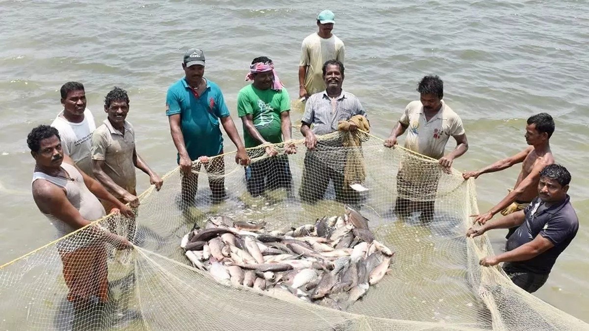 बदली किसानों की किस्मत प्रधानमंत्री मत्स्य संपदा योजना से