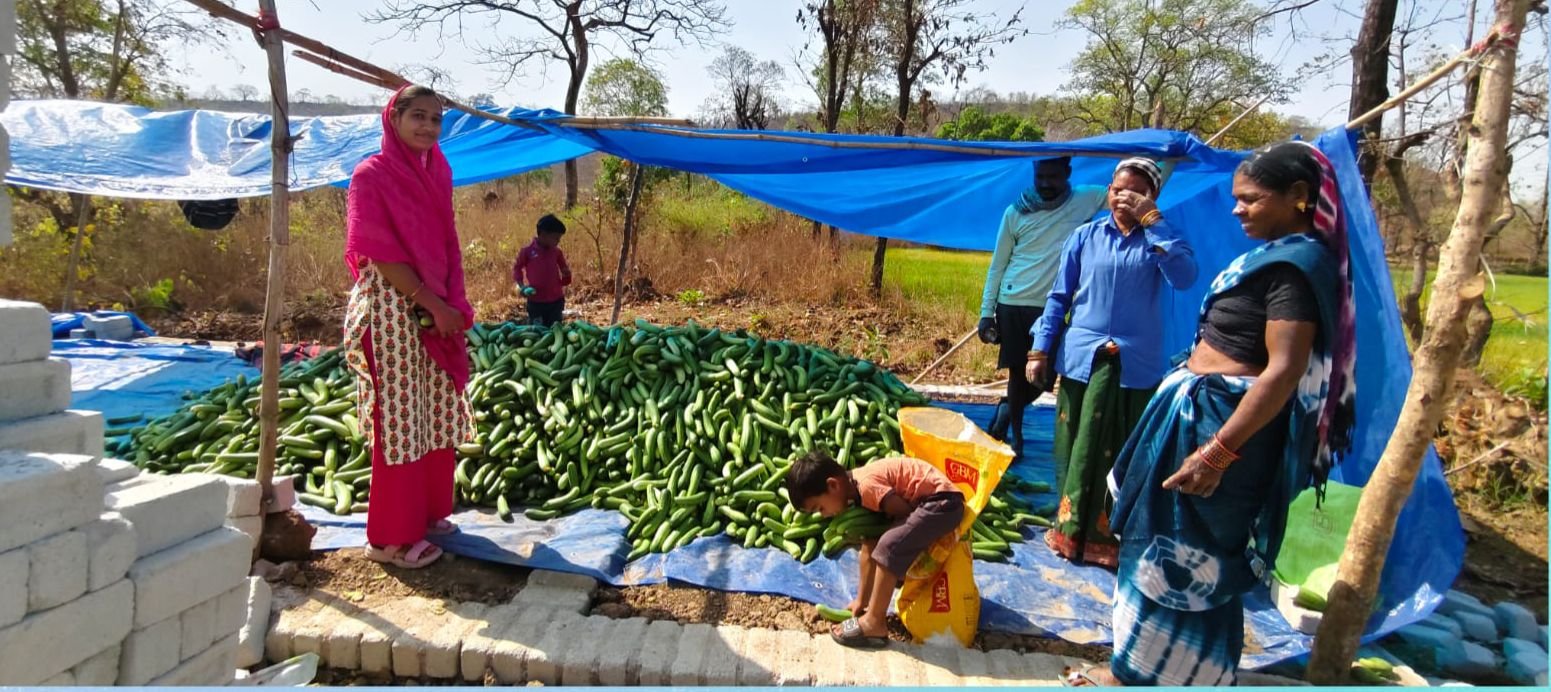 Image after paragraph