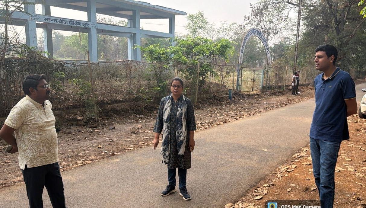 Image after paragraph