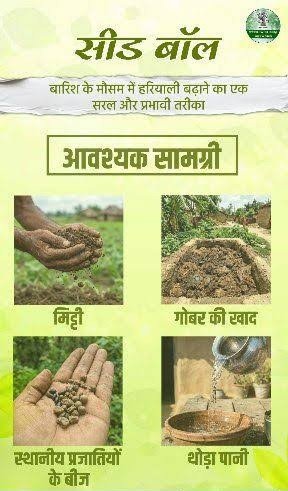 सीड बॉल अभियान- हरियाली बढ़ाने का सरल और प्रभावी माध्यम