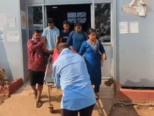 Image after paragraph