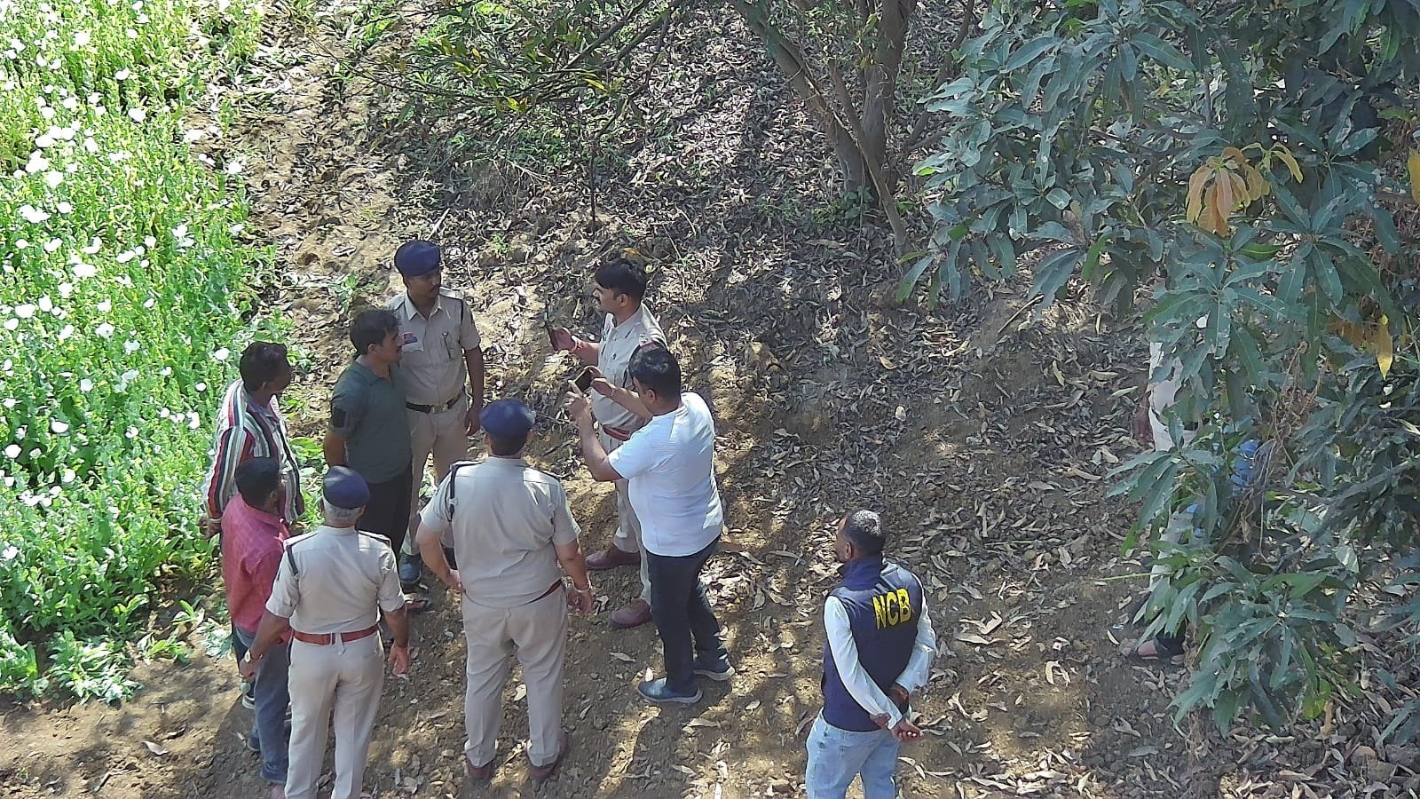 Image after paragraph