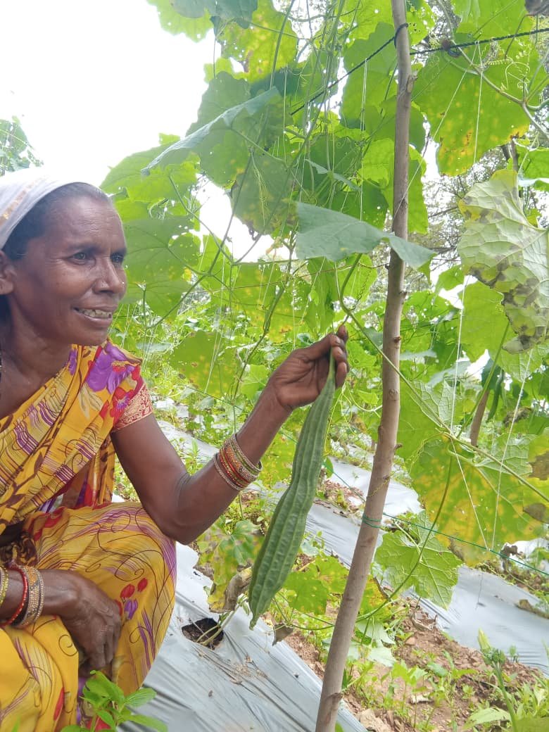 बस्तर के खेतों में बही समृद्धि की बयार* महिला किसान रैबाली कश्यप ने एकीकृत कृषि अपनाकर रची सफलता की नई इबारत
