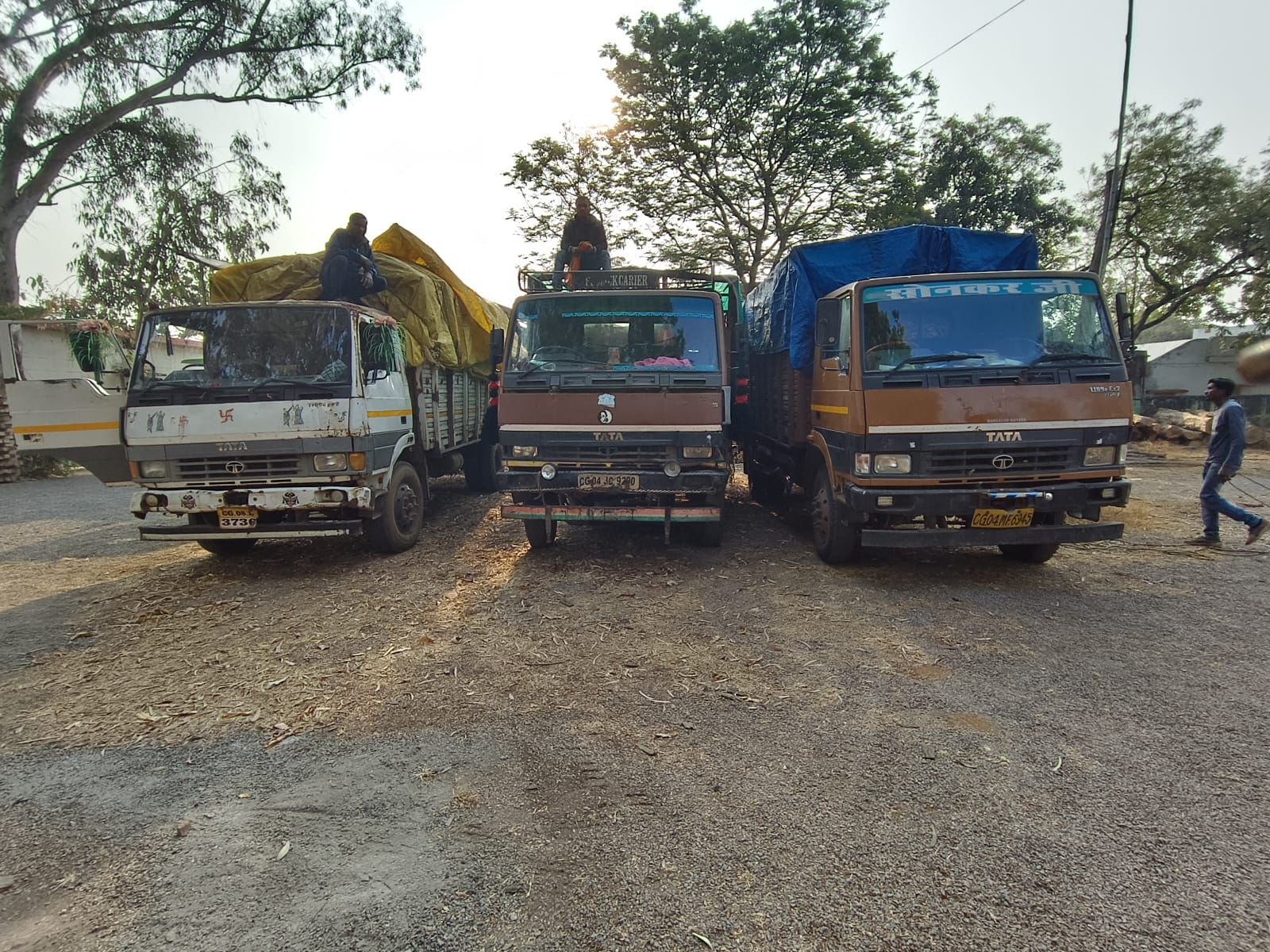 Image after paragraph