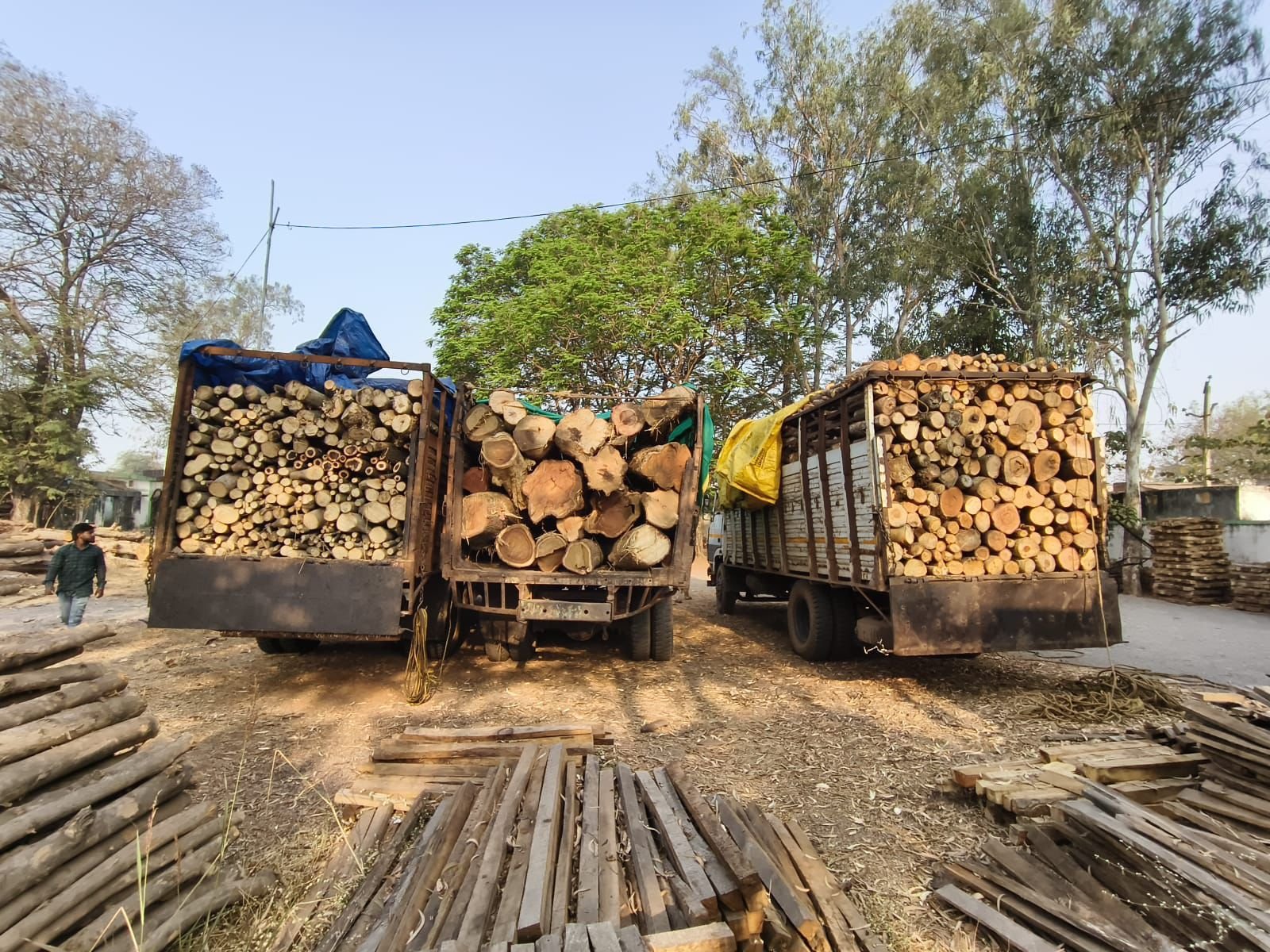 अवैध काष्ठ परिवहन पर बड़ी कार्रवाई, चार वाहन जब्त