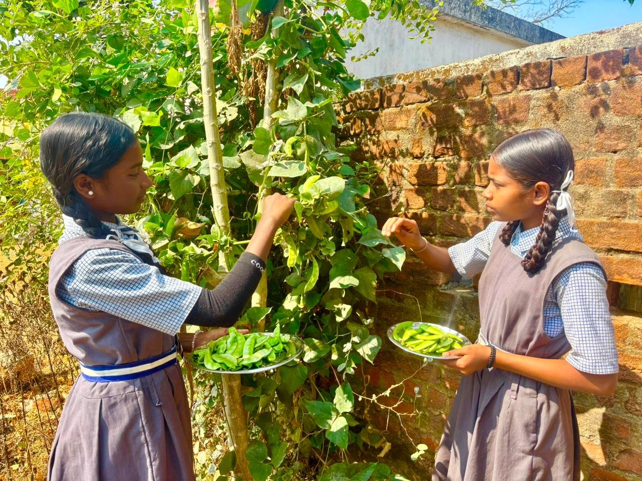 Image after paragraph