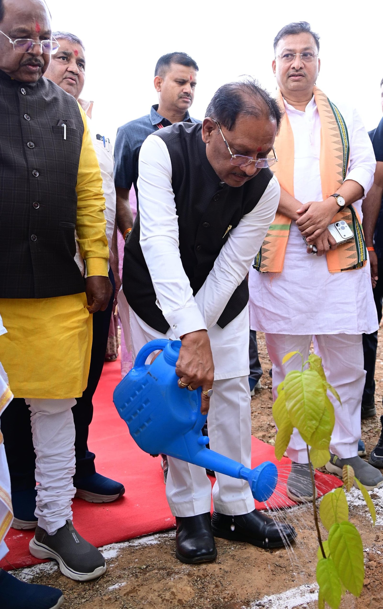 Image after paragraph