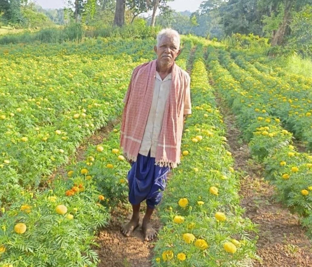 धान छोड़ फूलों की खेती ने बदली आनंदराम की तकदीर