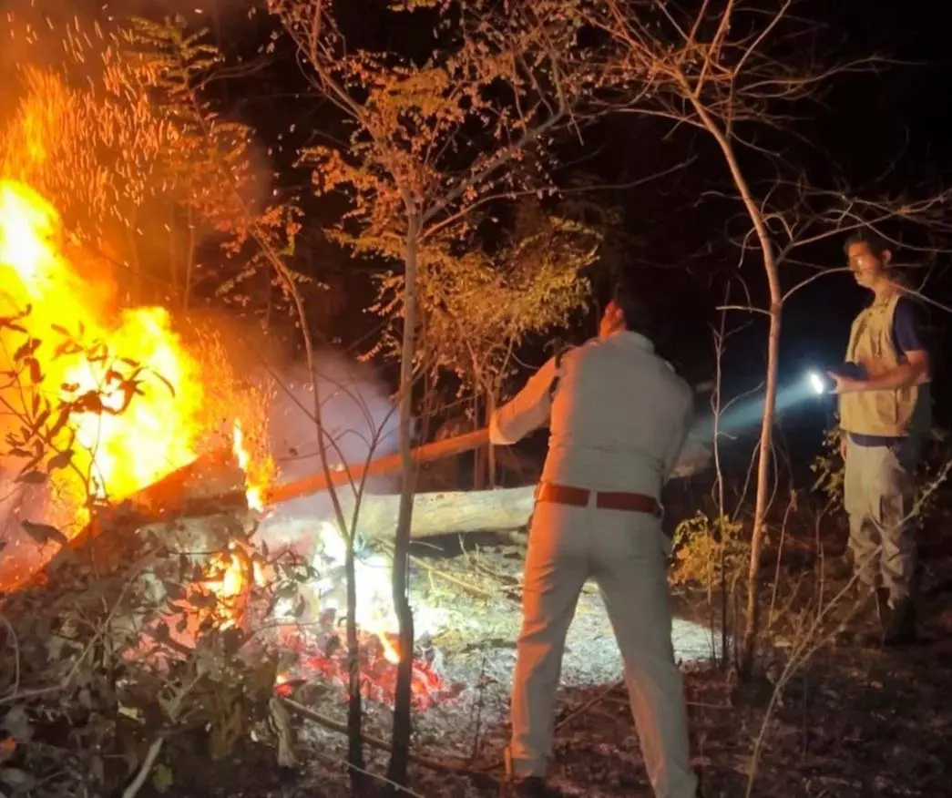 सोनाखान परिक्षेत्र अंतर्गत कसडोल-कोठारी मार्ग पर देवतराई और पौड़ी के बीच जंगल में आग