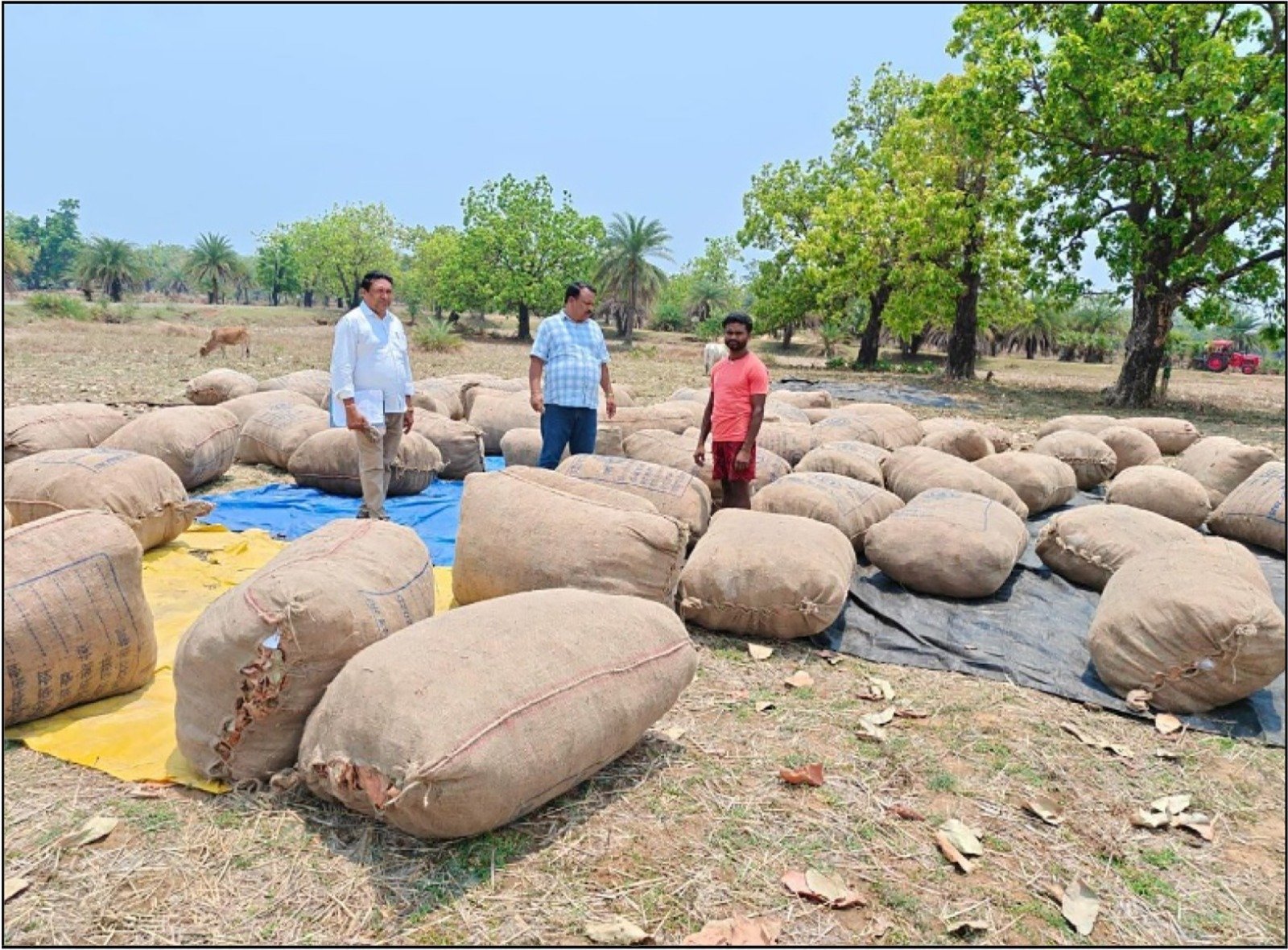 Image after paragraph